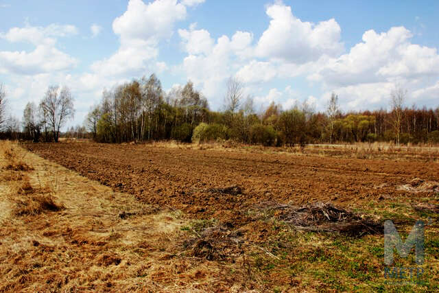 Село круг. Круги (Московская область).